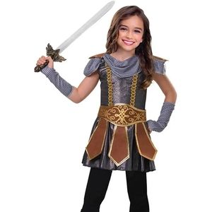 Warrior/Viking girl costume